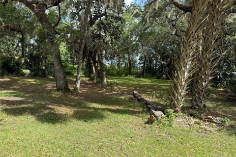 Terrain à vendre à Hernando, Floride № 2095095 - photo 4