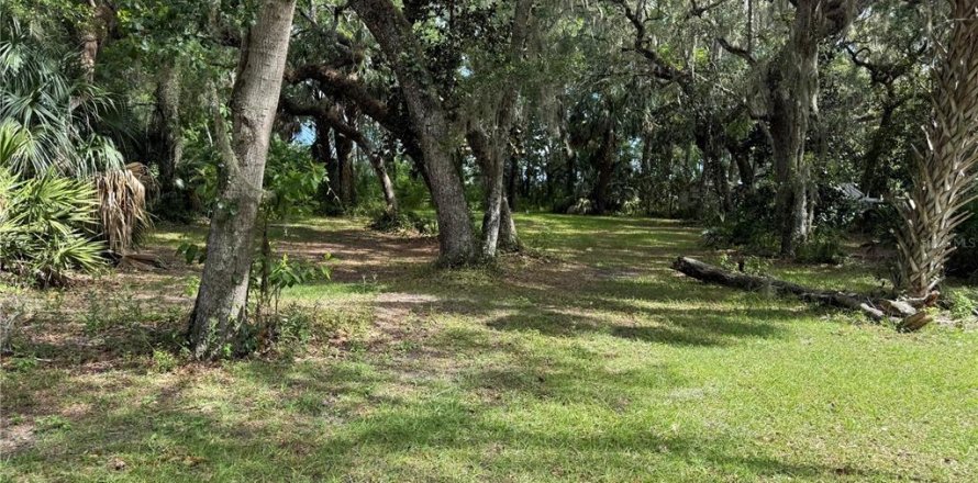 Terrain à Hernando, Floride № 2095095
