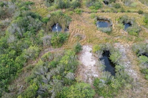 Land in Wimauma, Florida № 1023136 - photo 24