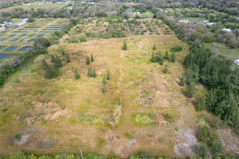 Land in Wimauma, Florida № 1023136 - photo 10