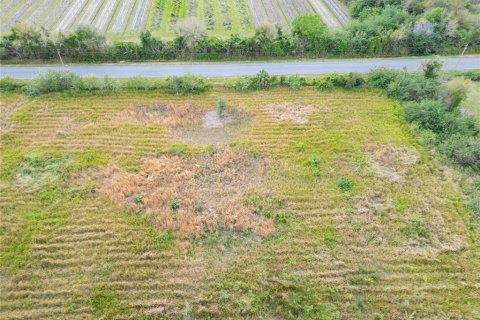 Land in Wimauma, Florida № 1023136 - photo 2