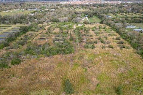 Land in Wimauma, Florida № 1023136 - photo 20