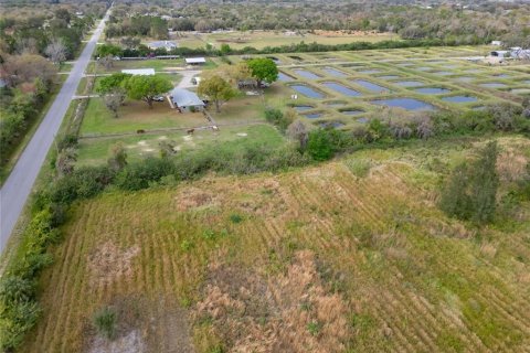 Land in Wimauma, Florida № 1023136 - photo 19