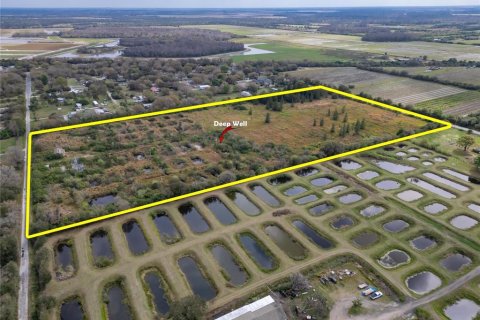 Land in Wimauma, Florida № 1023136 - photo 7