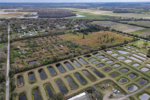 Land in Wimauma, Florida № 1023136 - photo 14