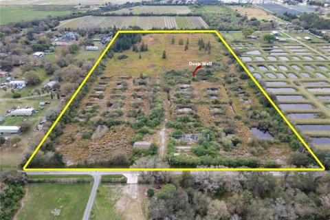Land in Wimauma, Florida № 1023136 - photo 3