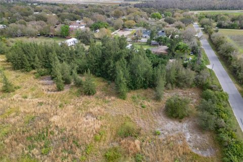 Land in Wimauma, Florida № 1023136 - photo 18