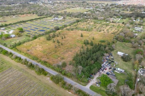 Land in Wimauma, Florida № 1023136 - photo 16