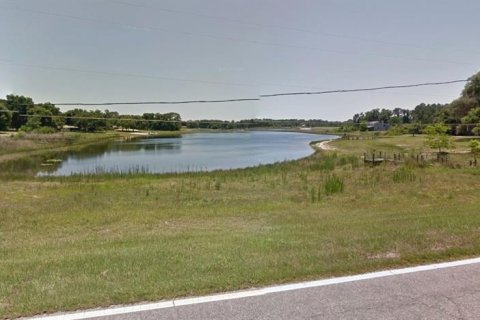 Land in Umatilla, Florida № 2160197 - photo 4