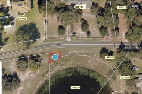 Land in Umatilla, Florida № 2160197 - photo 2
