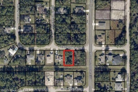 Land in Palm Bay, Florida № 1724329 - photo 1