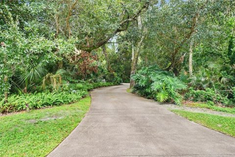 House in Port Orange, Florida 5 bedrooms, 404.22 sq.m. № 2393855 - photo 15