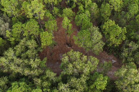 Terreno en venta en Naples, Florida № 2108639 - foto 10