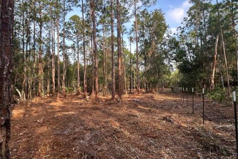 Terreno en venta en Naples, Florida № 2108639 - foto 21