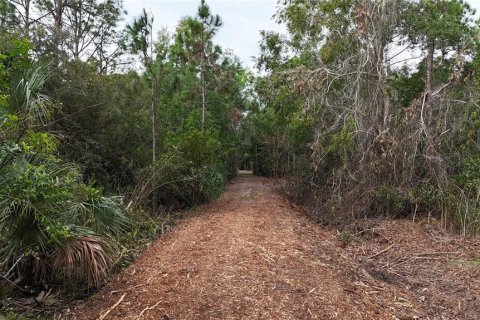 Terreno en venta en Naples, Florida № 2108639 - foto 6