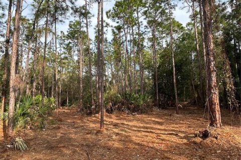 Terreno en venta en Naples, Florida № 2108639 - foto 25