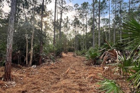 Terreno en venta en Naples, Florida № 2108639 - foto 3