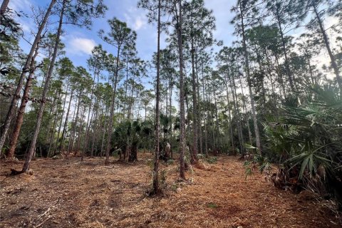 Terreno en venta en Naples, Florida № 2108639 - foto 2