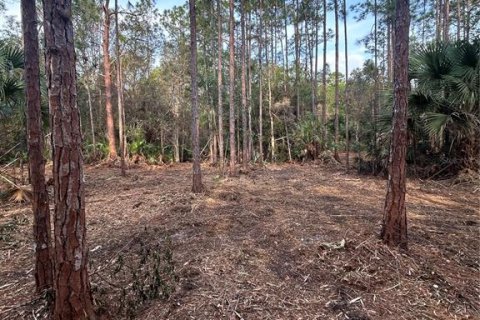 Terreno en venta en Naples, Florida № 2108639 - foto 20