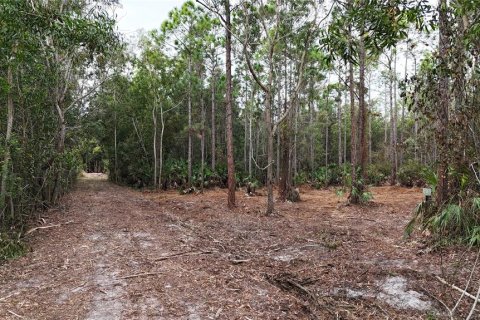 Terreno en venta en Naples, Florida № 2108639 - foto 7