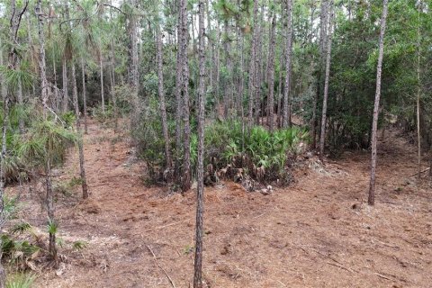 Terreno en venta en Naples, Florida № 2108639 - foto 14