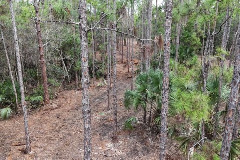 Terreno en venta en Naples, Florida № 2108639 - foto 15