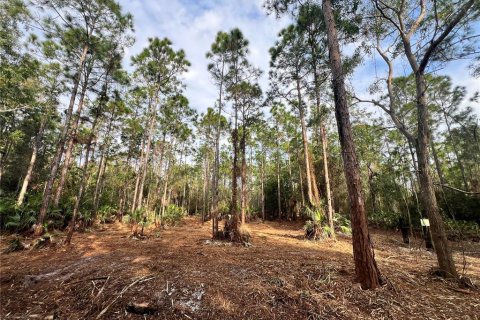 Terreno en venta en Naples, Florida № 2108639 - foto 26