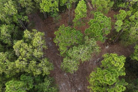 Terreno en venta en Naples, Florida № 2108639 - foto 9