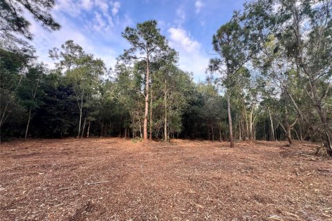 Terreno en venta en Naples, Florida № 2108639 - foto 30