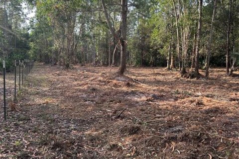 Terreno en venta en Naples, Florida № 2108639 - foto 23