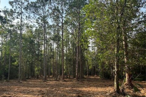 Terreno en venta en Naples, Florida № 2108639 - foto 27