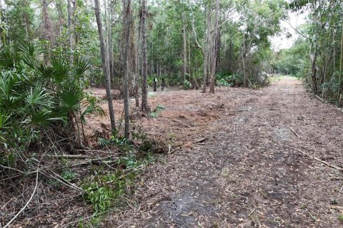 Terreno en venta en Naples, Florida № 2108639 - foto 13