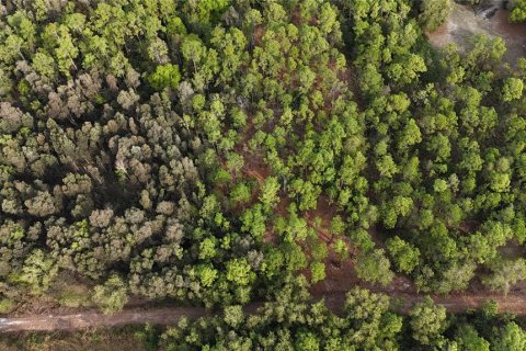 Terreno en venta en Naples, Florida № 2108639 - foto 12