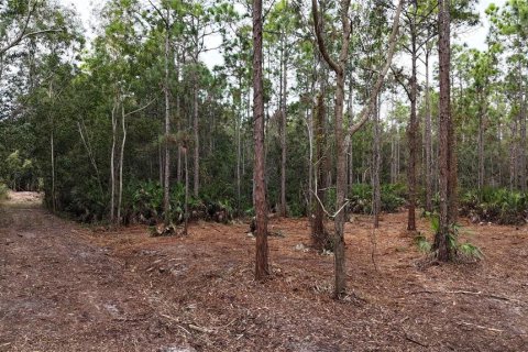 Terreno en venta en Naples, Florida № 2108639 - foto 8