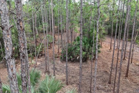 Terreno en venta en Naples, Florida № 2108639 - foto 16
