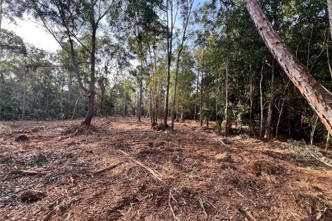 Terreno en venta en Naples, Florida № 2108639 - foto 28