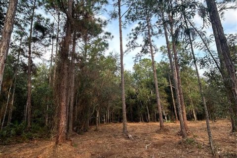 Terreno en venta en Naples, Florida № 2108639 - foto 22