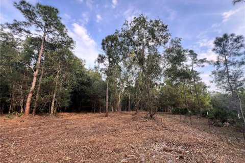 Terreno en venta en Naples, Florida № 2108639 - foto 29