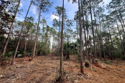 Land in Naples, Florida № 2108639