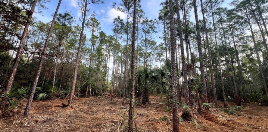 Terreno en Naples, Florida № 2108639