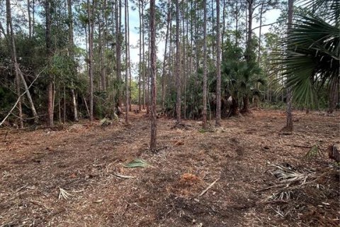 Terreno en venta en Naples, Florida № 2108639 - foto 19