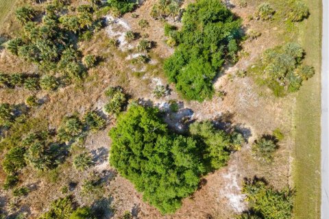 Land in Port Charlotte, Florida № 2161455 - photo 10