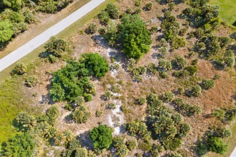 Land in Port Charlotte, Florida № 2161455 - photo 16