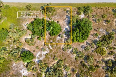 Land in Port Charlotte, Florida № 2161455 - photo 2