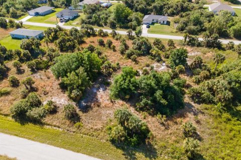 Land in Port Charlotte, Florida № 2161455 - photo 8