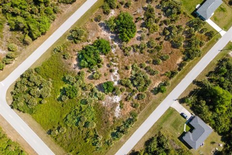 Land in Port Charlotte, Florida № 2161455 - photo 17