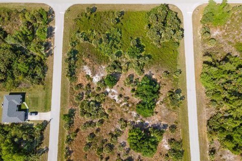 Land in Port Charlotte, Florida № 2161455 - photo 4