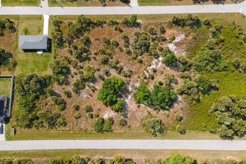 Land in Port Charlotte, Florida № 2161455 - photo 19