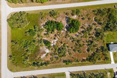 Land in Port Charlotte, Florida № 2161455 - photo 18