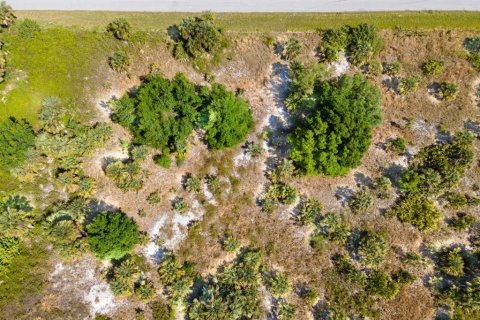 Land in Port Charlotte, Florida № 2161455 - photo 15